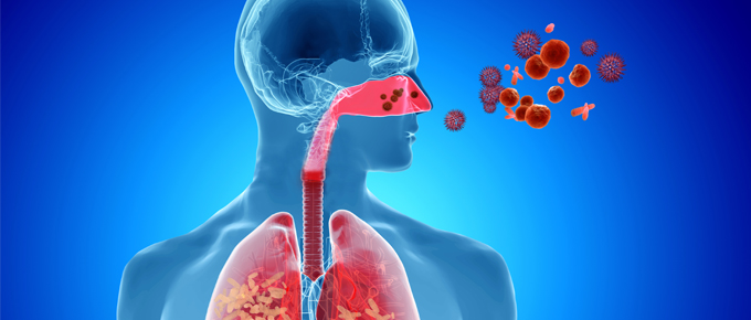 Gutiérrez Web | 7 consejos de salud para cuidar las vías respiratorias Gutiérrez Web | 7 consejos de salud para cuidar las vías respiratorias